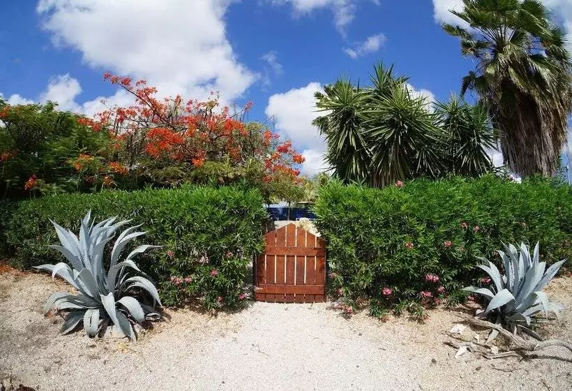 هتل Caribbean Chillout Apartments