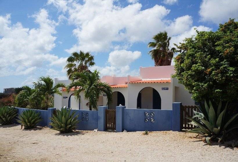 هتل Caribbean Chillout Apartments