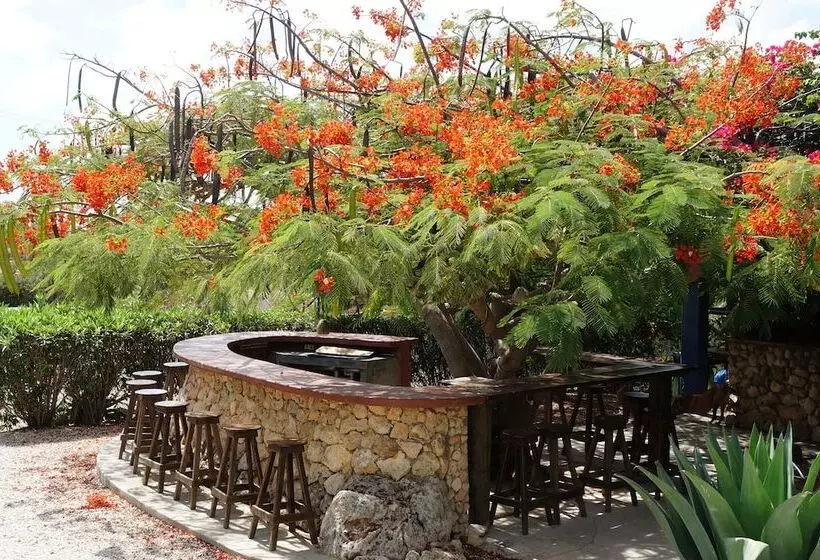 هتل Caribbean Chillout Apartments