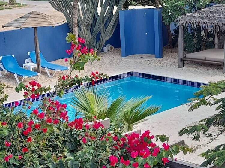 هتل Caribbean Chillout Apartments