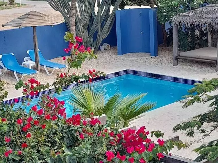 هتل Caribbean Chillout Apartments