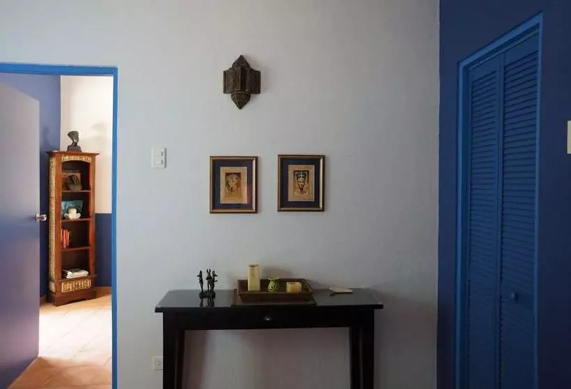 هتل Caribbean Chillout Apartments