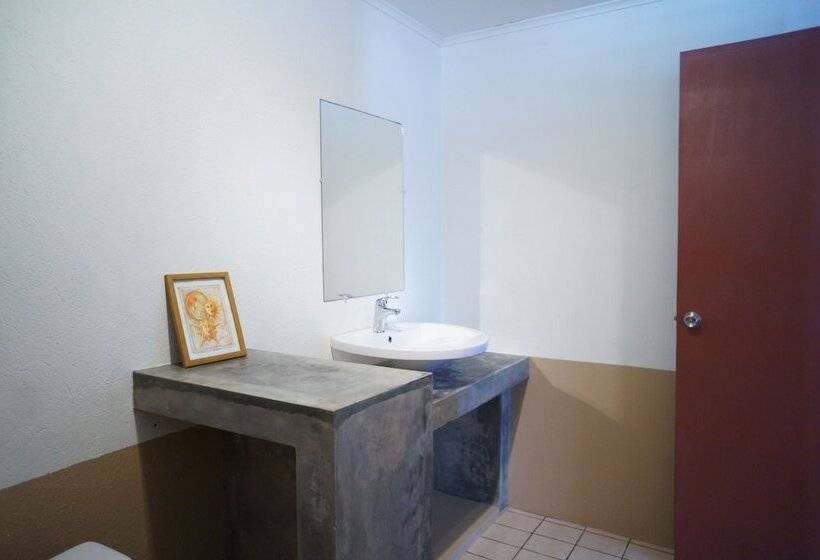 هتل Caribbean Chillout Apartments