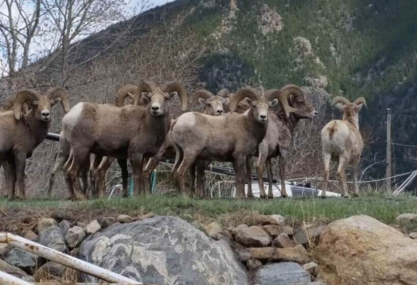 Отель Daven Haven Lodge & Cabins