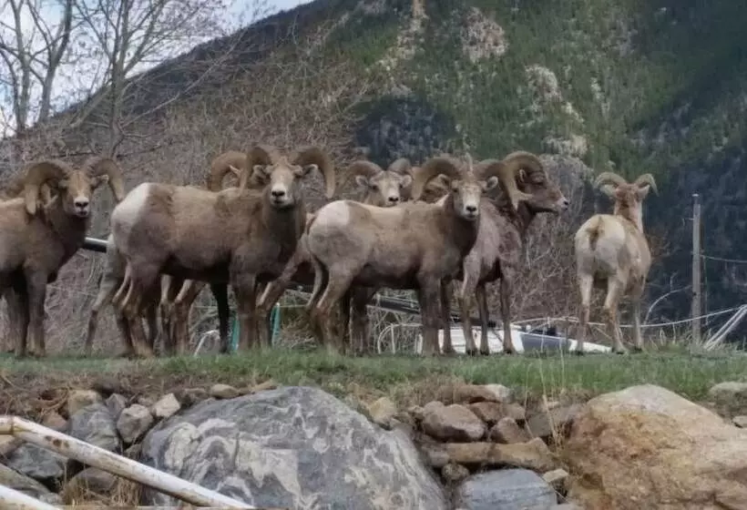 Отель Daven Haven Lodge & Cabins