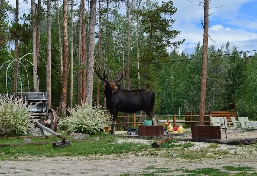 Отель Daven Haven Lodge & Cabins