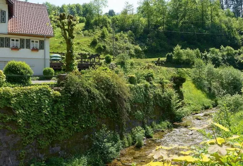 호텔 Gasthof Blume