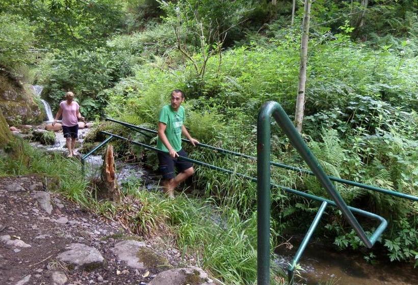 酒店 Gasthof Blume