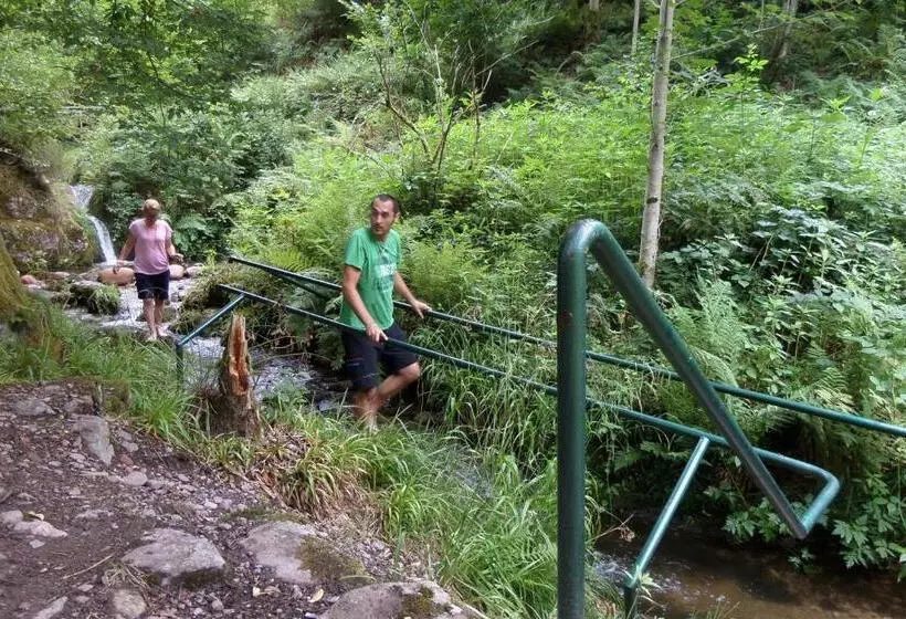 호텔 Gasthof Blume