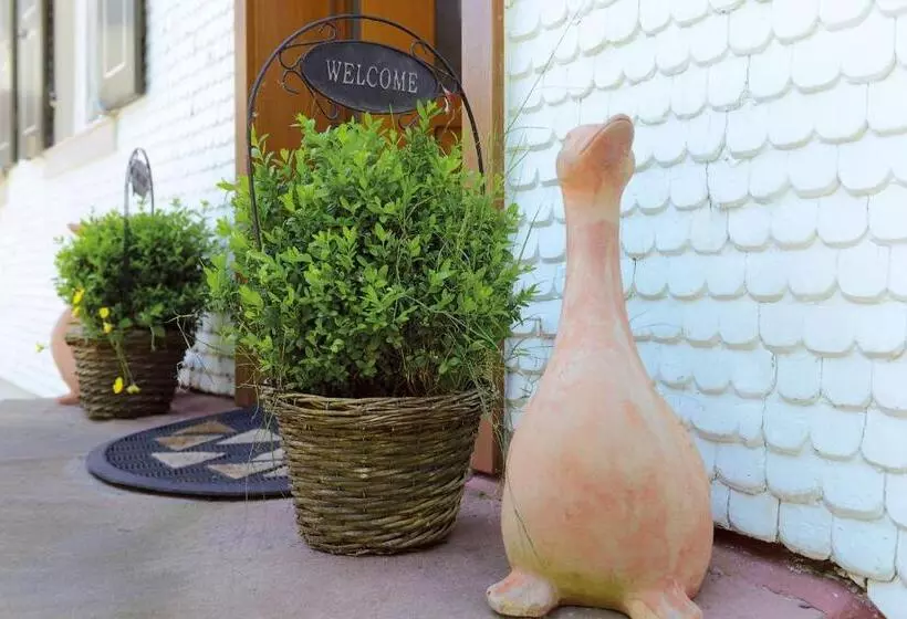 호텔 Gasthof Blume