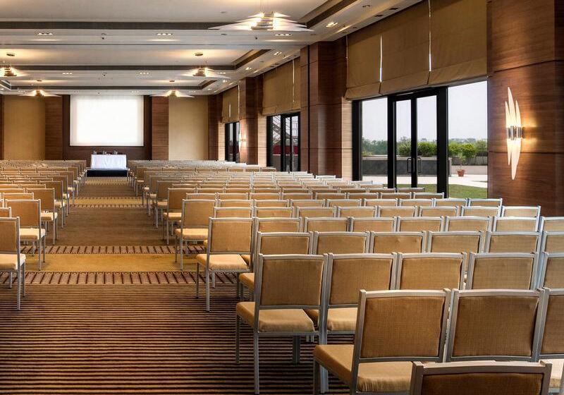 Отель Hyatt Raipur