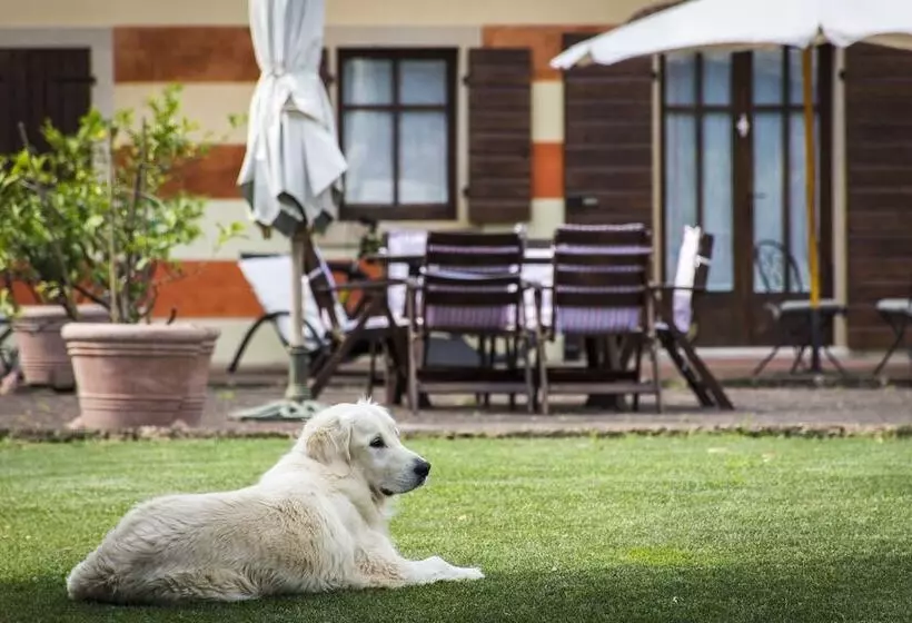 ホテル Musella Winery & Relais