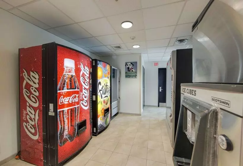 Motel 6 Brampton, On Toronto