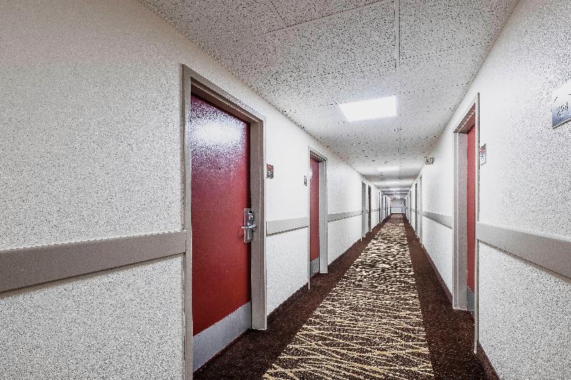 汽车旅馆  Red Roof Inn Roanoke Rapids