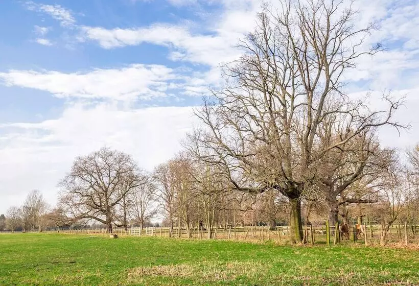 Vii Hotel & Indian Restaurant