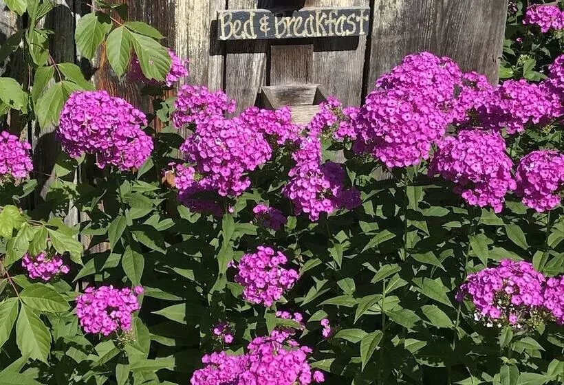 Corner George Inn Bed & Breakfast