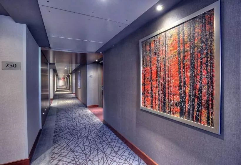 בית מלון כפרי Forestel