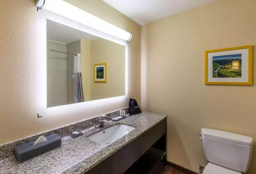 Hotel La Quinta Inn & Suites By Wyndham Durant