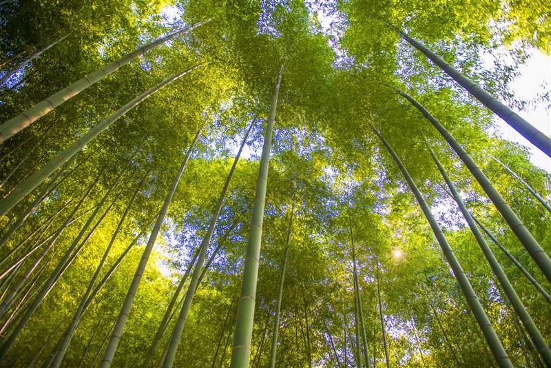 فندق Le Méridien Yixing