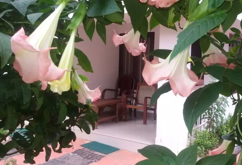 هتل Raja Park Beach Resort