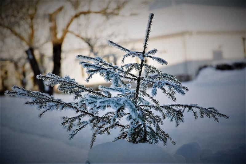 فندق Ulvsby Herrgård