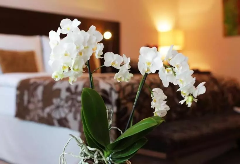 Отель Zochova Chata Adult Friendly