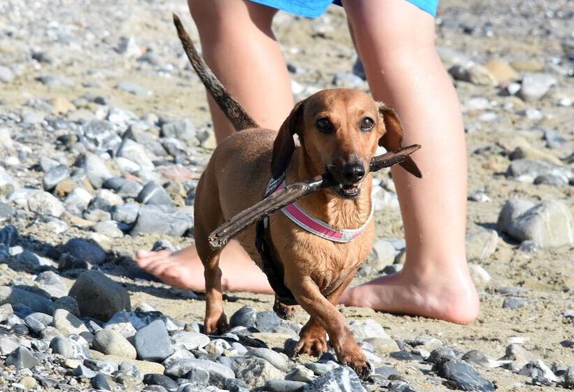 Resort Baia Del Silenzio