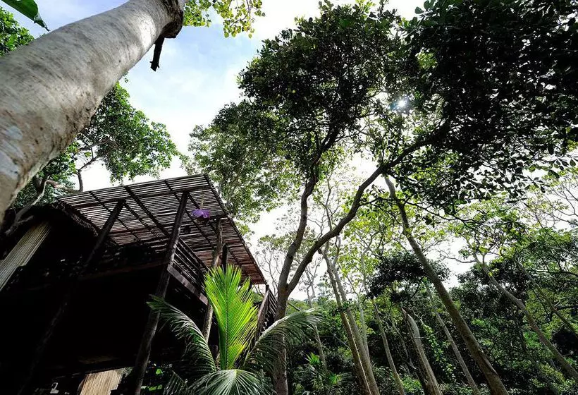 Sunwaree Phi Phi Resort