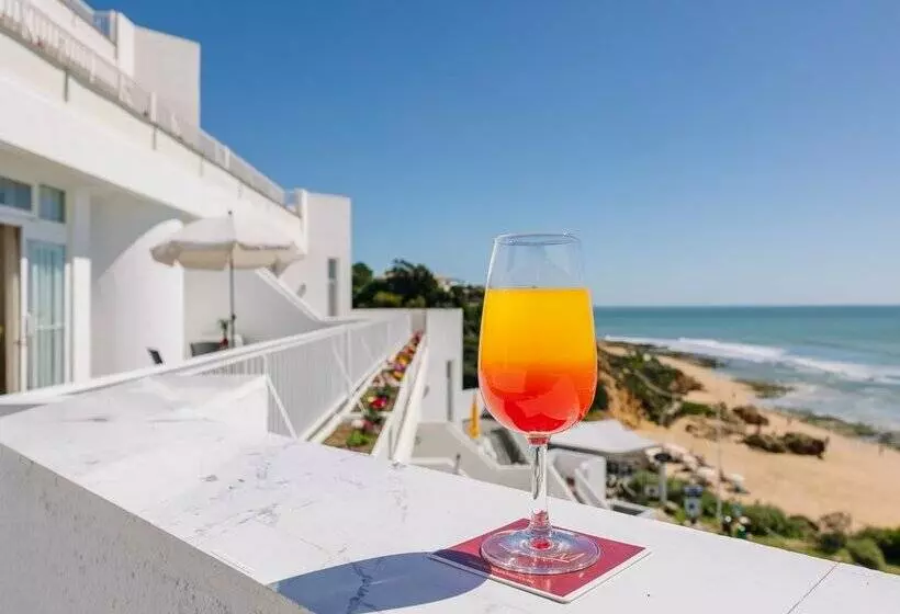 Monicca Collection Suites and Residences