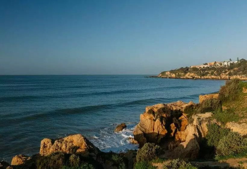 Monicca Collection Suites and Residences