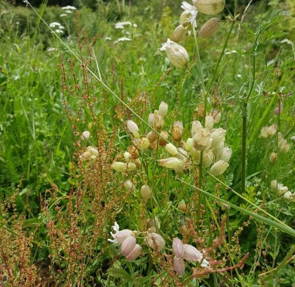 הוסטל Hübinger Treff