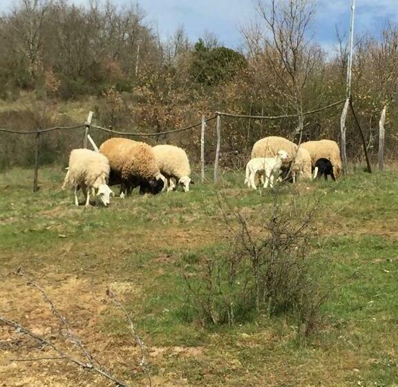 فندق Casa De Onor