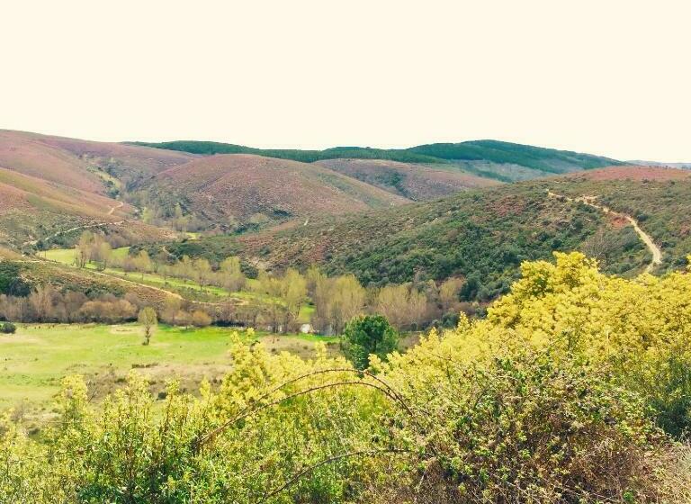 فندق Casa De Onor