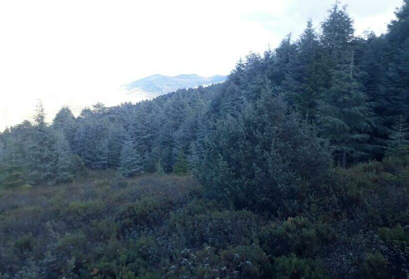 فندق Hassan Bizi Ketama