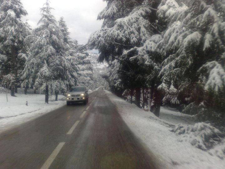 فندق Hassan Bizi Ketama