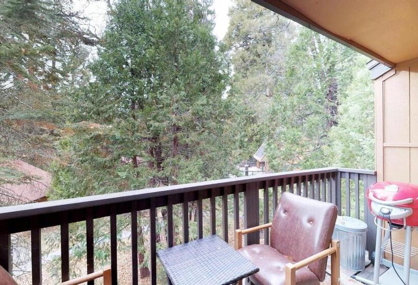 فندق Shaver Haven Condominium