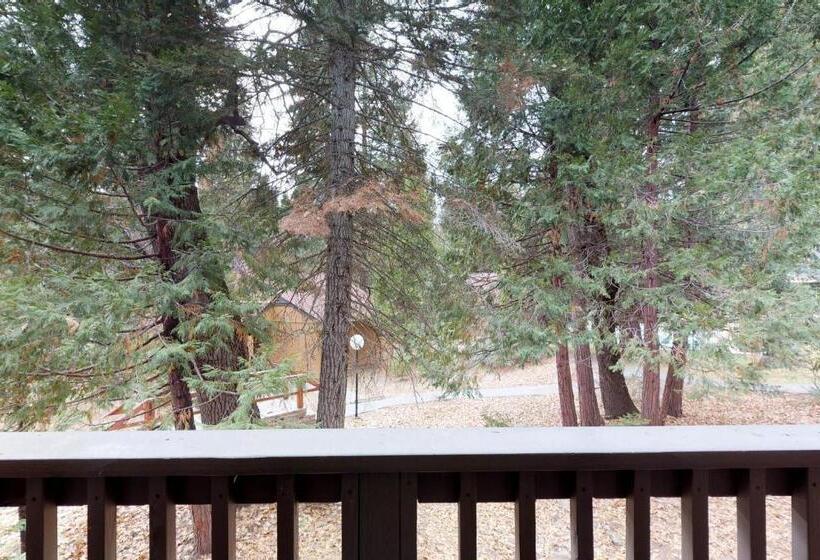 فندق Shaver Haven Condominium