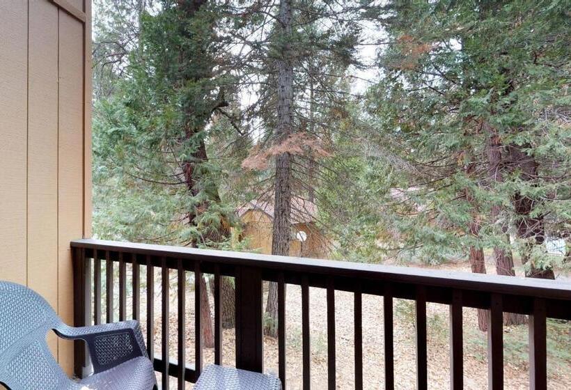 فندق Shaver Haven Condominium