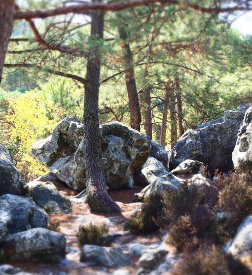 پانسیون A L Orée De La Forêt