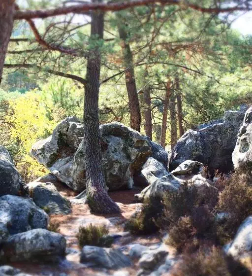 Majatalo A L Orée De La Forêt