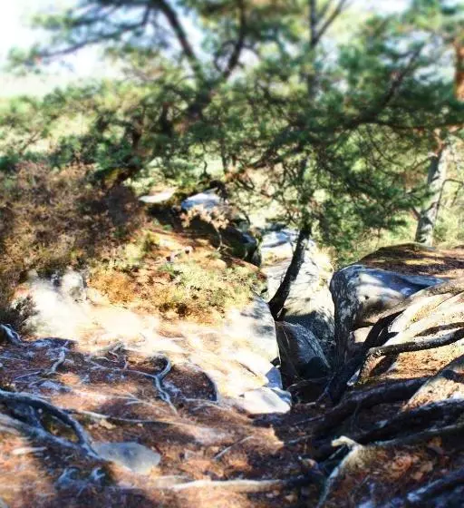 Majatalo A L Orée De La Forêt