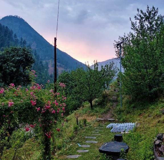 膳宿费 Wild Vairagi Tirthan Valley