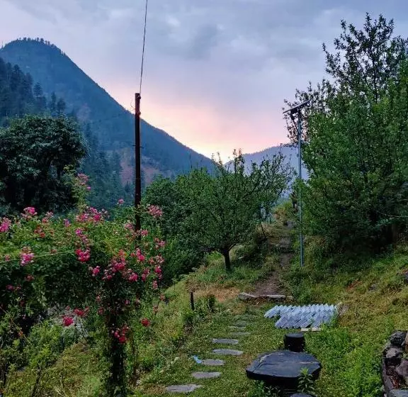 Majatalo Wild Vairagi   Tirthan Valley