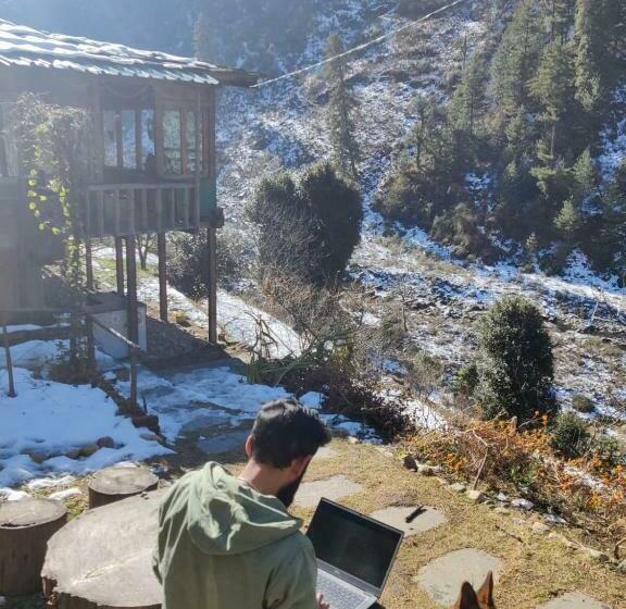 膳宿费 Wild Vairagi Tirthan Valley