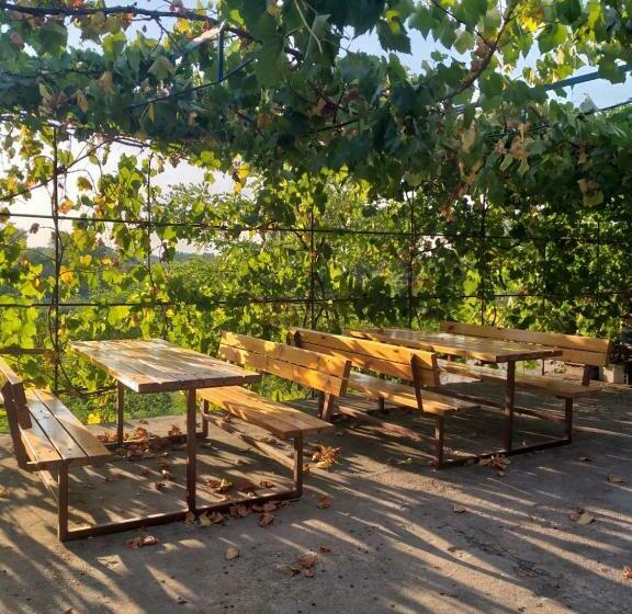 פנסיון Zalán Vendégház