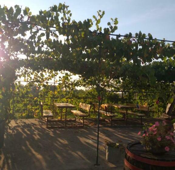 פנסיון Zalán Vendégház