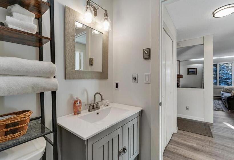 酒店 Bromley Mountain Condo