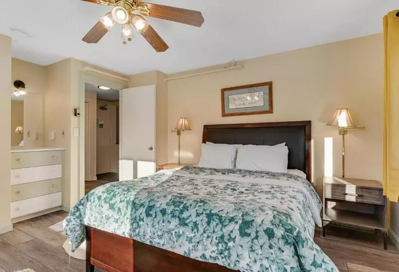 ホテル Bromley Mountain Condo