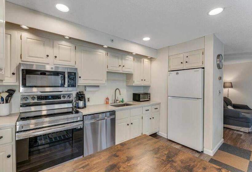 酒店 Bromley Mountain Condo