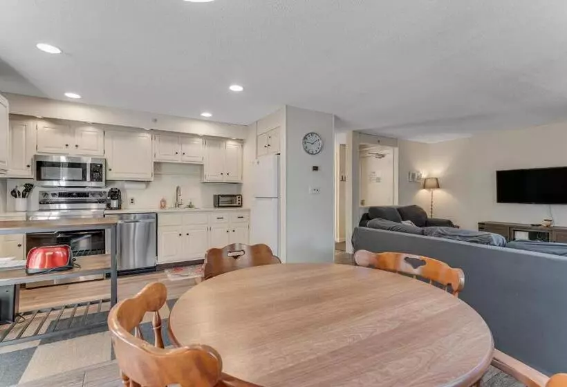 ホテル Bromley Mountain Condo